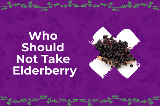 who-should-not-take-elderberry